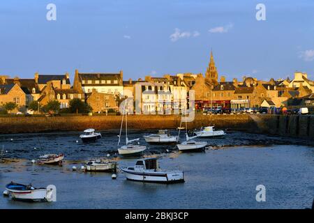 Frankreich, Finistere, Roscoff, Hafen bei Ebbe mit dem Clocktower (1701) von Notre-Dame de Croaz Batz Kirche Stockfoto