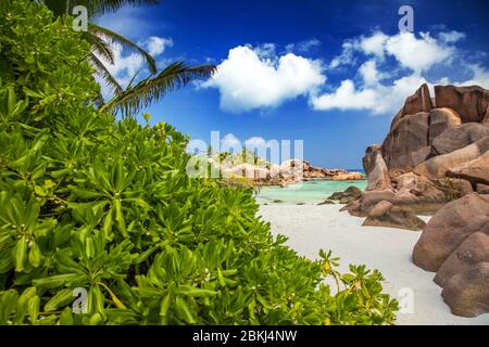 Seychellen, La Digue, Coco Cove, weißer Sandstrand und Granitfelsen Stockfoto
