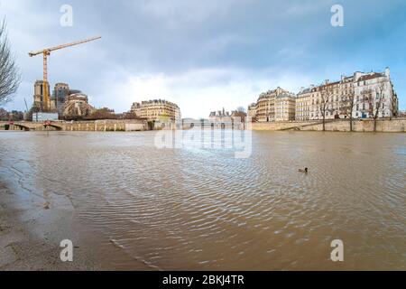 Frankreich, Paris, Gebiet als Weltkulturerbe der UNESCO, Notre-Dame de Paris Kathedrale, während der Überschwemmungen im März 2020 Stockfoto