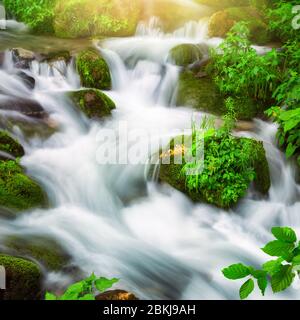 Wasserströme, die wunderschön einen wilden kleinen Fluss hinunter durch einen Bergwald kaskadieren, quadratisches Format und lange Belichtung für abstrakten Fluss Stockfoto