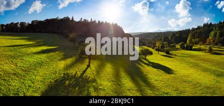 Panorama-Luftlandschaft am Morgen: Kontrastreiche Landschaft mit der Sonne am blauen Himmel, Bäume auf grünen Wiesen, die lange Schatten werfen, und dunkle Wälder Stockfoto