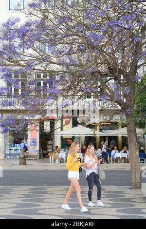 Portugal, Lissabon, Baixa, Rossio oder Don Pedro IV Platz (Praça de D. Pedro IV), jacaranda in Blüte mit der Terrasse des Nicola Cafe (1929) Stockfoto