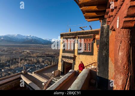 Indien, Jammu und Kaschmir, Ladakh, Thiksey Gompa, Mönch zu Fuß im Kloster und erhöhte Aussicht auf Indus Valley, Höhe 3600 Meter Stockfoto