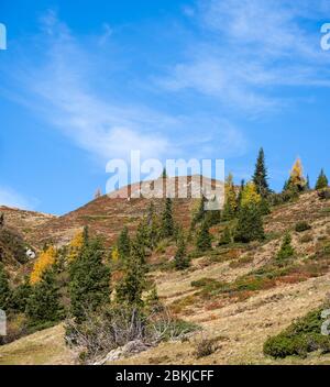 Sonnige idyllische Herbstalpenszene. Ruhiger Alpenblick vom Wanderweg von Dorfgastein zu Paarseen, Land Salzburg, Österreich. Picturesqu Stockfoto