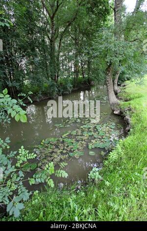 Frankreich, Indre et Loire, Loire-Tal als Weltkulturerbe der UNESCO, Chédigny, einzige Dorf in Frankreich als bemerkenswerter Garten, die Indrois eingestuft Stockfoto