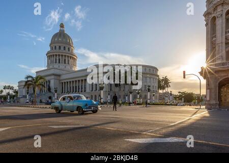 Kuba, Provinz Ciudad de la Habana, Havanna, Stadtteil Centro Habana, amerikanische Wagen auf dem Paseo del Prado auch genannt Paseo José Marti anschließen Capitol und Malecon Stockfoto