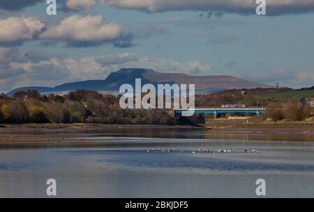 Nordbahn-Sprinterzug der Klasse 153 mit einem Wagen, der die Carlisle Bridge (Lancaster, River Lune) überquert und Ingleborough dahinter führt. Stockfoto