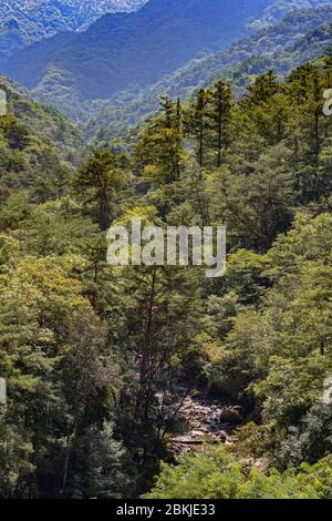 Nordkorea, Bezirk Hyang San, Mount Myohyang Stockfoto