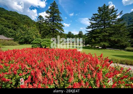 Nordkorea, Hyang San District, Pohyon bouddhist Tempel Stockfoto