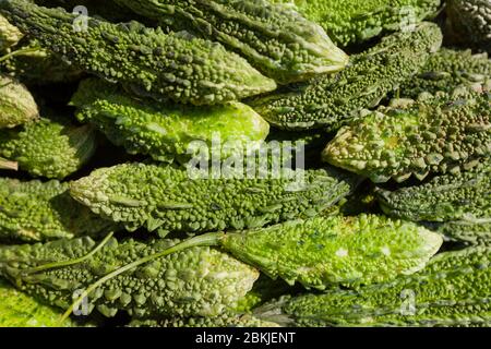 Indien, Rajasthan, Jodhpur, Sardar Markt Girdikot, Bittermelone, Momordica charantia Stockfoto