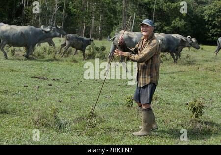 Frankreich, Guyana, Kakao, Porträt eines der letzten Hmong-Veteranen, Moise Moua Txong Fong, 97 Jahre alt in seinem Haus Stockfoto