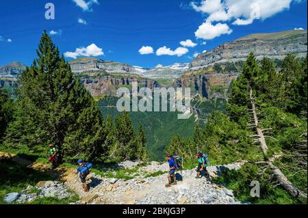 Spanien, Aragon, Comarque de Sobrarbe, Provinz Huesca, Nationalpark Ordesa und Monte Perdido, UNESCO-Weltkulturerbe, Jagdweg oder Senda de los Cazaderos, auf der faja de Pelay, gegenüber dem cirque und Wasserfall von Cotatuero, und brèche de Roland im Hintergrund Stockfoto