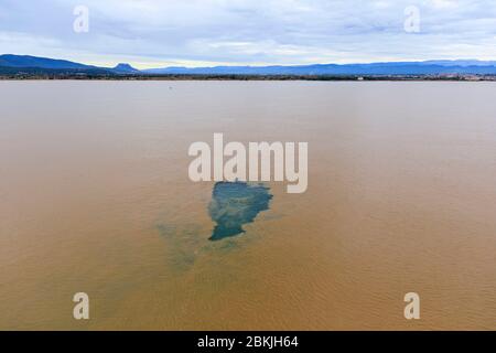 Frankreich, Var, Frejus, Hochwasser am Montag, 25. November 2019, Überlauf des Küstenflusses Argens, Hafen von Frejus Saint Raphael mit Sedimenten beladen (Luftaufnahme) Stockfoto