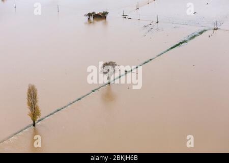 Frankreich, Var, Puget sur Argens, Hochwasser am Montag, 25. November 2019, Überlauf des Küstenflusses Argens (Luftaufnahme) Stockfoto