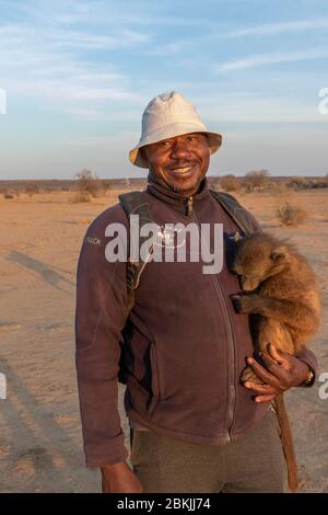 Namibia, Private Reserve, Chacma oder Chacma Pavian (Papio ursinus), junge von Freiwilligen getragen Stockfoto