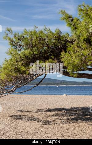 Bol Strand auf der Insel Brac während eines sonnigen Tages im Sommer. Schöne weiße Kieselsteine mit Strand und eine klare blaue Adria schaffen eine idyllische ruhige sc Stockfoto