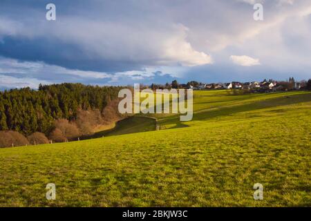 Typische Eifellandschaft im Spätsommer (indischer Sommer) mit Bäumen, Wiesen und Feldern. Stockfoto