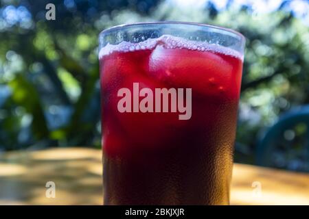 flor de jamaica Trinken Sie mit Eis Stockfoto