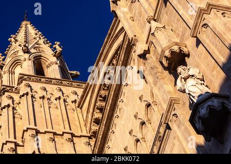 Wasserspeier und Detail der Fassade der Kathedrale von Palma, Palma de Mallorca, Balearen, Spanien Stockfoto