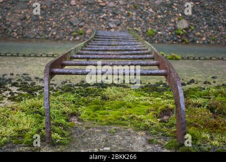 Algae Water Line Low Tide Rusty Iron Step Leiter am Ufer des FlussThames Path Teddington nach Kew, Richmond London Stockfoto