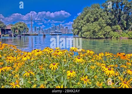 Toronto Centre Island; Toronto; Zentrum der Insel; Insel; Bezirk; Gemeinde Insel; Lake Ontario; See; Wasser; Strand; Strände; Erholung; Urlaub; Ferien; wir Stockfoto