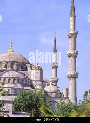 Sultan-Ahmed-Moschee (Blaue Moschee), vom Sultan-Ahmet-Park, Bezirk Fatih, Istanbul, Republik Türkiye Stockfoto