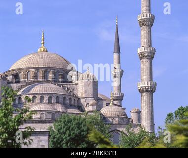 Sultan-Ahmed-Moschee (Blaue Moschee), vom Sultan-Ahmet-Park, Bezirk Fatih, Istanbul, Republik Türkiye Stockfoto