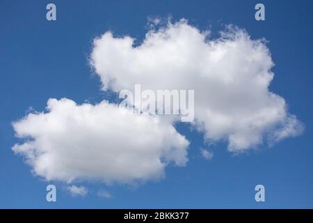 Weiße Cumulus Wolken gegen blauen Himmel, Stanwell Moor, Surrey, England, Vereinigtes Königreich Stockfoto