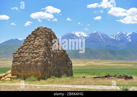 Große Heuhaufen gebrauchsfertig und landwirtschaftliche Geräte in der kasachischen Steppe gegen blaue Berge und bewölkten Himmel. Stockfoto