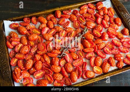 Geröstete Tomaten auf einer Sheet Pan: Langsam geröstete Traubentomaten und ein Zweig frischen Oregano auf einer Sheet Pan Stockfoto