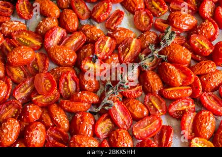 Geröstete Tomaten auf einer Sheet Pan: Langsam geröstete Traubentomaten und ein Zweig frischen Oregano auf einer Sheet Pan Stockfoto