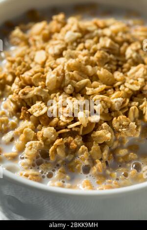 Gesundes Bio-Müsli mit Milch zum Frühstück in einer Schüssel Stockfoto