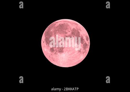 Rosa Vollmond auf schwarzem Himmel Hintergrund Stockfoto