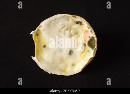 Draufsicht von schimmelig verrotteten Gemüse Zucchini isoliert auf dem schwarzen Hintergrund Stockfoto
