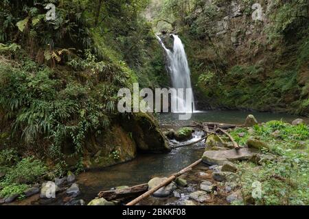 Ein Wasserfall um dichte Vegetation in Ahila Stockfoto