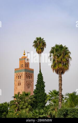 Palmen vor der Koutoubia Moschee in Marrakesch Marokko Stockfoto