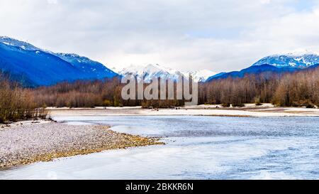 Der Squamish River im Brackendale Eagles Provincial Park, ein berühmter Ort zur Beobachtung von Adlern in British Columbia, Kanada Stockfoto