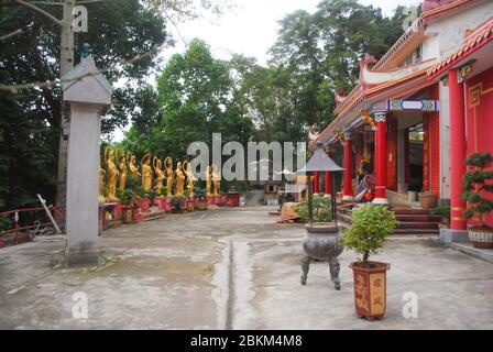 Mann Fett Sze Zehntausend Buddhas Kloster, 220 Pai Tau Dorf, Sha Tin, Hongkong Gold Buddhas Statuen Buddhist Buddhism Architecture Verehrung Stockfoto