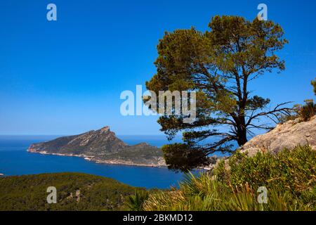 Blick auf Dragonera von Reserva Biológica de la Trapa, Sant Elm, Mallorca, Balearen, Spanien Stockfoto