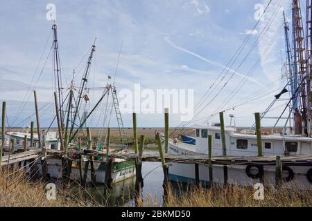 St Helena USA - 21. Februar 2015 - Fischerboote im Hafen von St Helena Island in South Carolina USA Stockfoto