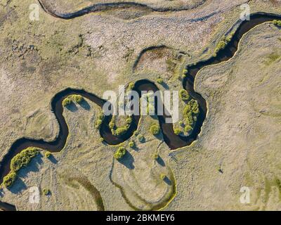 Ein Bach schlängelt sich durch ein grünes Tal, mit natürlichen Kurven und Kurven. Schlängelnde Wasserbahn Draufsicht. Luftaufnahme der schönen Landschaft. Stockfoto