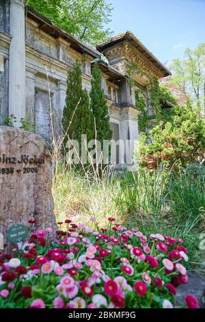 Berlin, Deutschland. April 2020. Frühlingsblumen schmücken ein Grab im alten Luisenstädtischen Friedhof an der Bergmannstraße. Quelle: Annette Riedl/dpa-Zentralbild/ZB/dpa/Alamy Live News Stockfoto