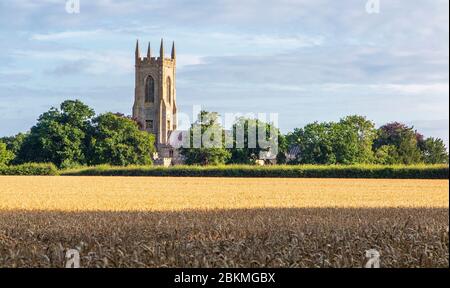 salle Kirche in der Ferne mit Gerstenfeld vor Stockfoto