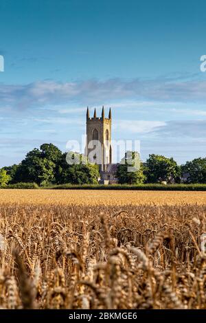 salle Kirche in der Ferne mit Gerstenfeld vor Stockfoto