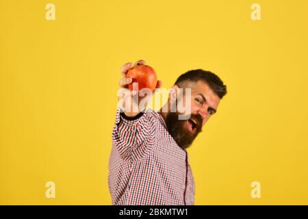 Guy präsentiert selbst erwachsene Ernte. Mann mit Bart hält roten apfel isoliert auf gelbem Hintergrund, Kopierraum. Bauer mit aufgeregtem Gesicht bringt frisches Obst nach vorne, nah dran. Gartenarbeit und Herbstanbau Stockfoto