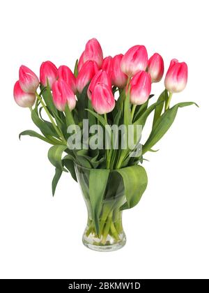 Strauß roter Rosen isoliert auf weißem Hintergrund Stockfoto