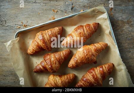 Frisch gebackene Croissants auf Backform, Blick von oben Stockfoto