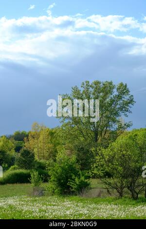 Dunkle Sturmwolken nähern sich über einer ländlichen Landschaft im zala County ungarn Stockfoto