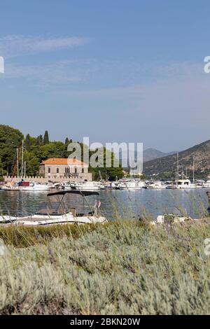 Der Blick auf den neuen Hafen von Gruz mit vielen Booten und Lavendelpflanzen wachsen in Dubrovnik, Dalamtia, Kroatien an einem sonnigen Tag im Sommer und einem blauen Stockfoto