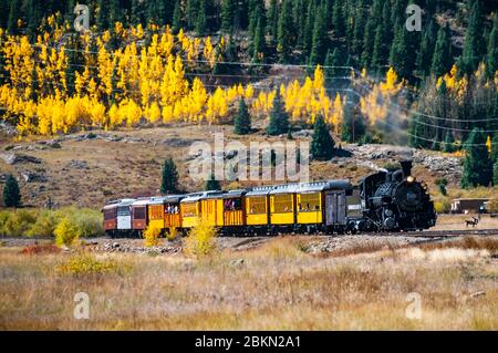 Nr. 486a K-36 Klasse Schmalspurlok nähern Silverton station mit gelben Aspen Laub im Hintergrund. Stockfoto